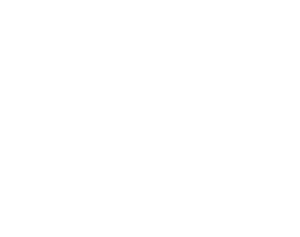 level256-logo